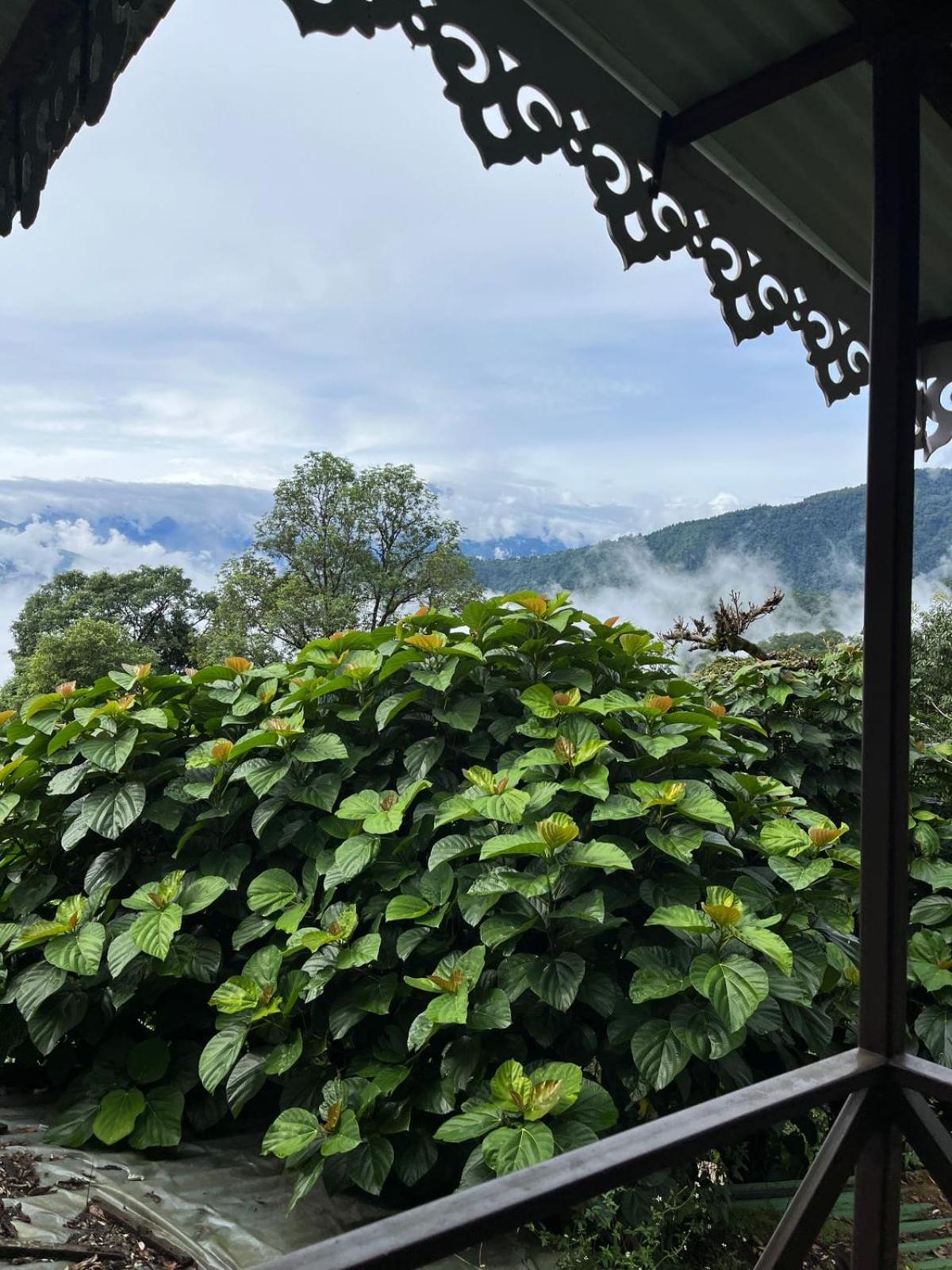 Bed and Breakfast The Barfung Retreat Gangtok Exteriér fotografie